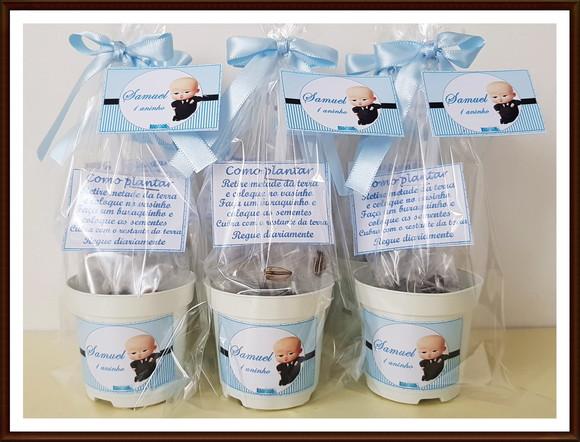 Mini Kit Ecológico o Poderoso Chefinho