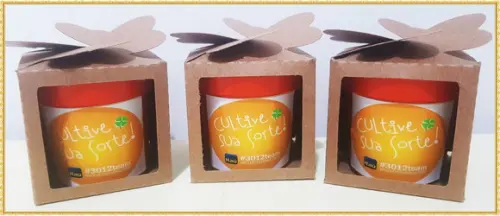 - Mini Kit Ecológico -lembrancinha para Plantar