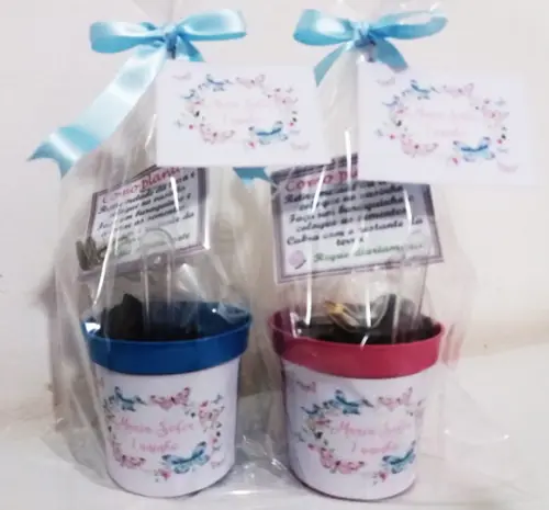 Mini Kit Ecológico Borboletas