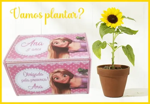 Kit Ecológico