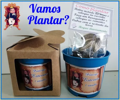 Lembrancinha para Plantar - Príncipe