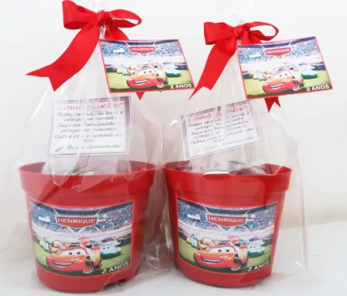 Kit Ecológico Médio Carros