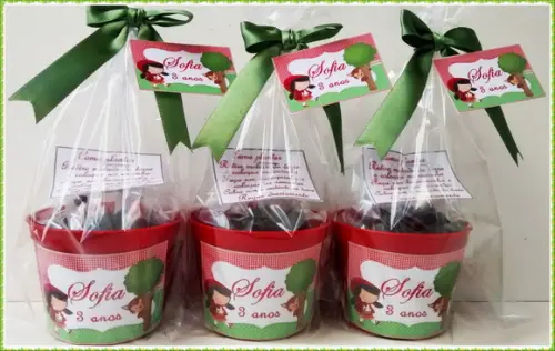 Kit Ecológico Médio Chapéuzinho Vermelho