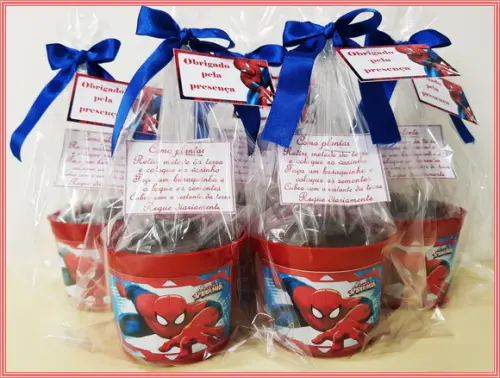 Kit Ecológico Médio Homem Aranha