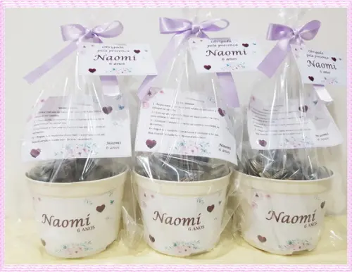 Kit Ecológico Médio Jardim Encantado