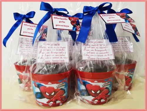 Kit Ecológico Médio Homem Aranha