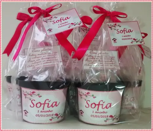 Kit Ecológico Médio Jardim Encantado