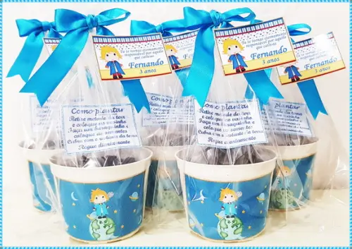 Kit Ecológico Médio Pequeno Príncipe