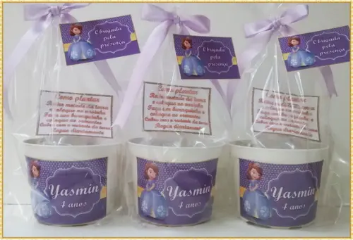 Kit Ecológico Médio Princesa Sofia