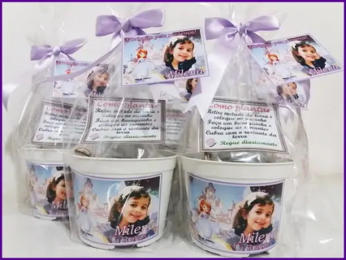 Kit Ecológico Médio Princesa Sofia