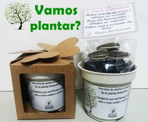 Lembrancinha para Plantar Brinde Escolar