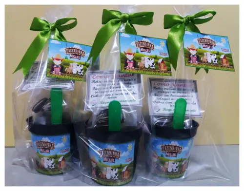 Kit Ecológico Pequeno -fazendinha