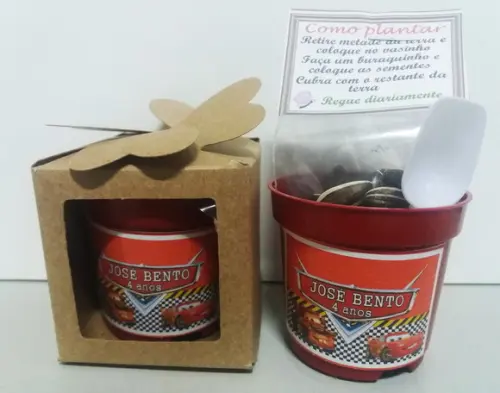 Kit Lembrancinha Ecológica Carros