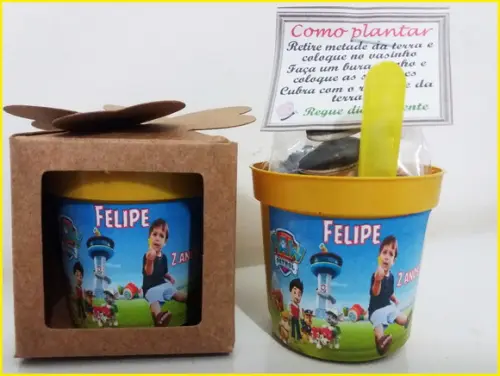 Kit Plante e Cultive -patrulha Canina