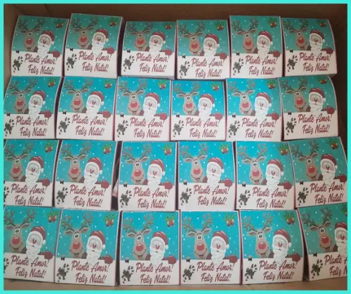 Kit Plantio Natal