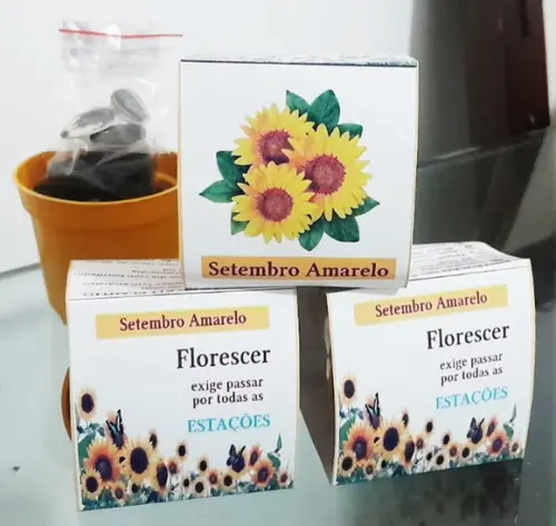 Kit Plantio Personalizado - Setembro Amarelo
