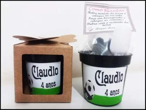 Kits Lembrancinha para Plantar Girassol