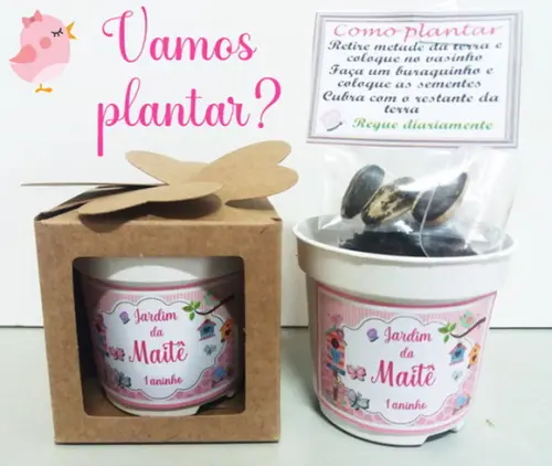 Kits Lembrancinha para Plantar - Todos os Temas