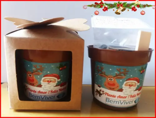 Lembrancinha de Natal - Kit Ecológico para Plantar