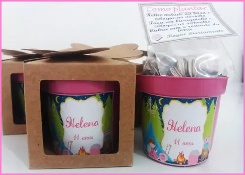 Lembrancinha para Plantar - Acampamento