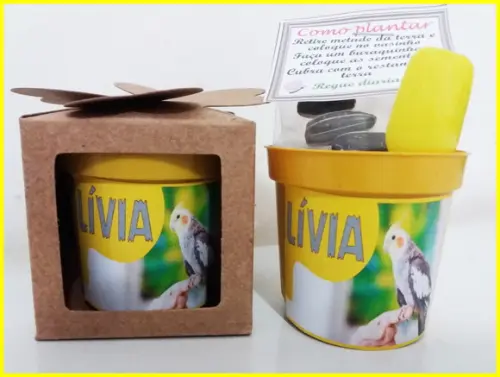 Lembrancinha para Plantar - Calopsita