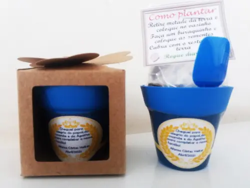 Lembrancinha para Plantar - Girassol