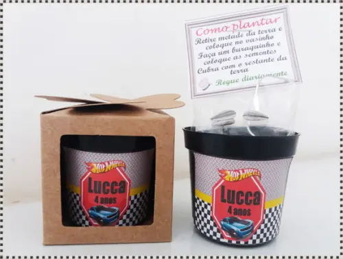 Lembrancinha para Plantar - Hot Weels