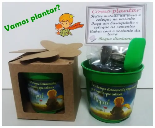 Lembrancinha para Plantar - Pequeno Príncipe