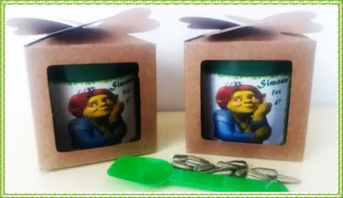 Lembrancinha para Plantar - Princesa Fiona