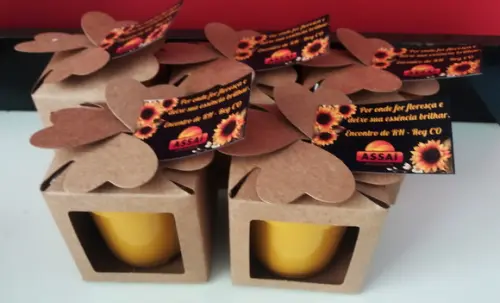 Lembrancinha para Plantar - Todos os Temas