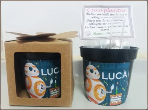 Lembrancinha para Plantar -star Wars