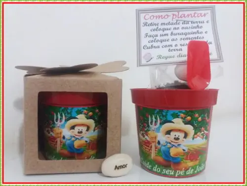 Lembrancinha para Plantar com Semente Mágica de Feijão