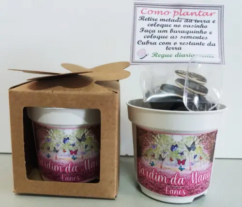Lembrancinha para Plantar Jardim das Borboletas