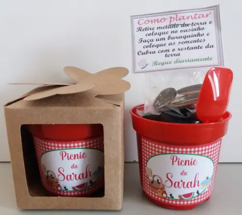 Lembrancinha para Plantar Picnic