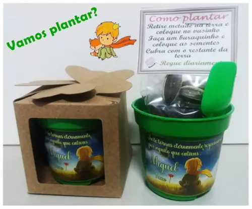 Lembrancinha para Plantar Pequeno Príncipe