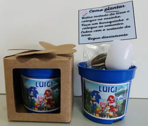 Lembrancinha para Plantar Sonic e a Turma