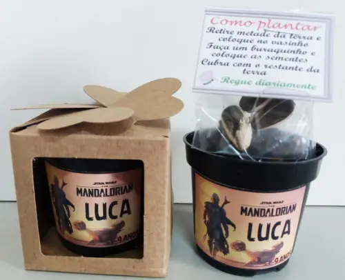 Lembrancinha para Plantar Star Wars