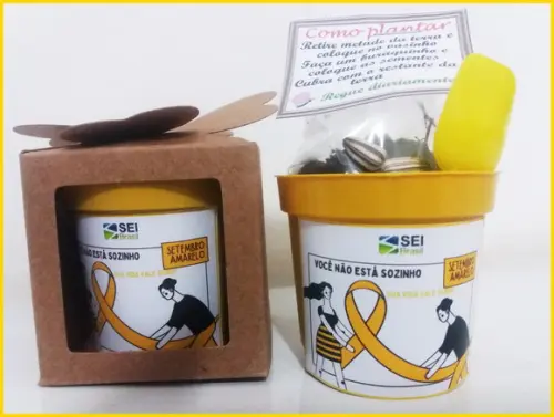 Lembrancinha para Plantar Setembro Amarelo