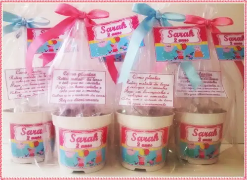 Mini Kit Ecológico