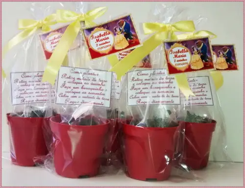 Mini Kit Ecológico Simples A Bela e a Fera
