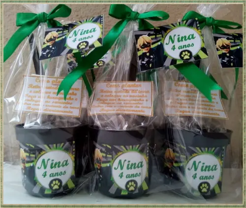 Mini Kit Ecológico