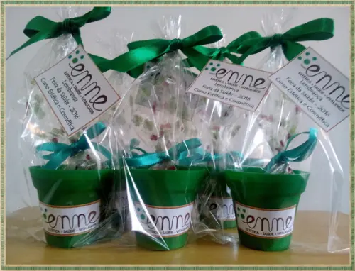 Mini Kit Ecológico