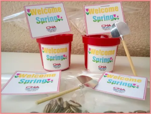 Mini Kit Ecológico - Para Montar
