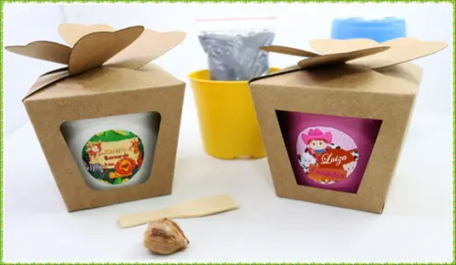 Mini Kit Ecológico - Lembrancinha para Plantar com Trevo