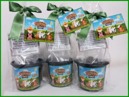 Mini Kit Ecológico -fazendinha