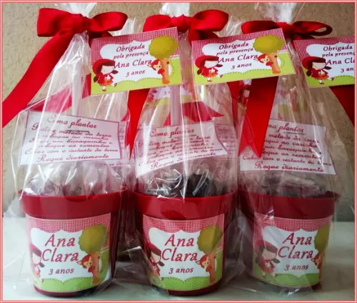 Mini Kit Ecológico Chapéuzinho Vermelho