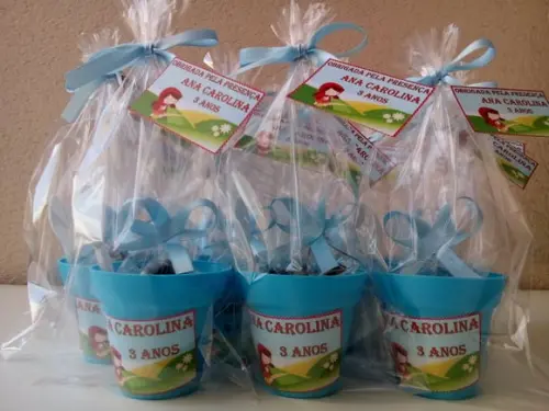 Mini Kit Ecológico Chapéuzinho Vermelho