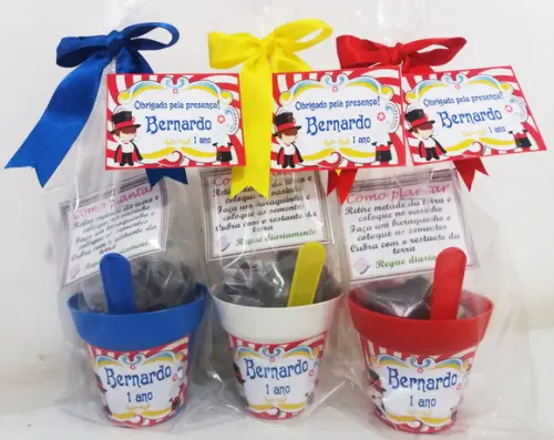 Mini Kit Ecológico Circo