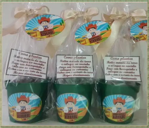 Mini Kit Ecológico Fazendinha