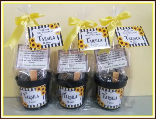 Mini Kit Ecológico Girassol